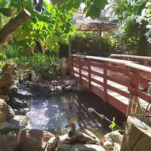 Lotus Turtle Garden דירה אילת